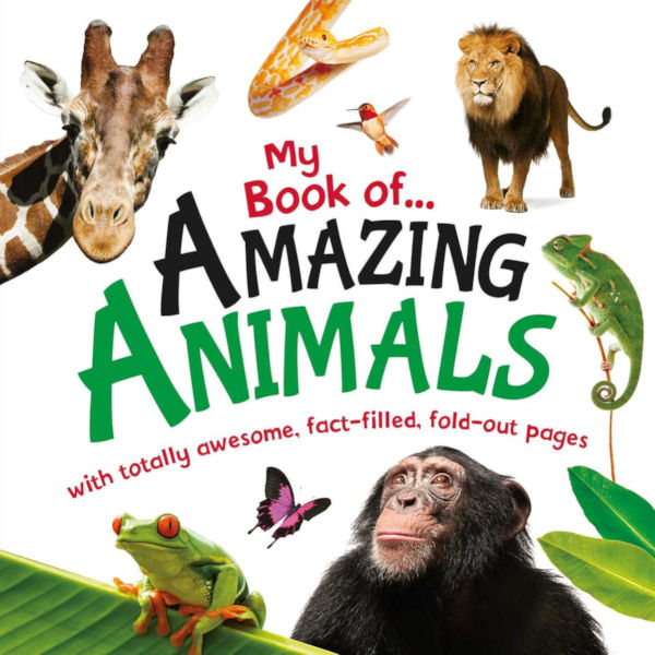 MY BIG BOOK OF… AMAZING ANIMALS - Mega Magazines
